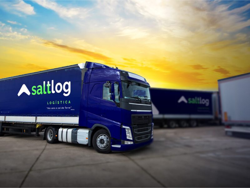 saltlog truck redu