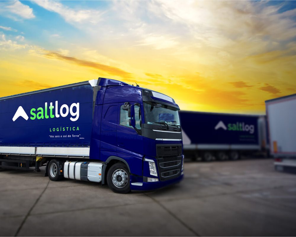 saltlog truck redu